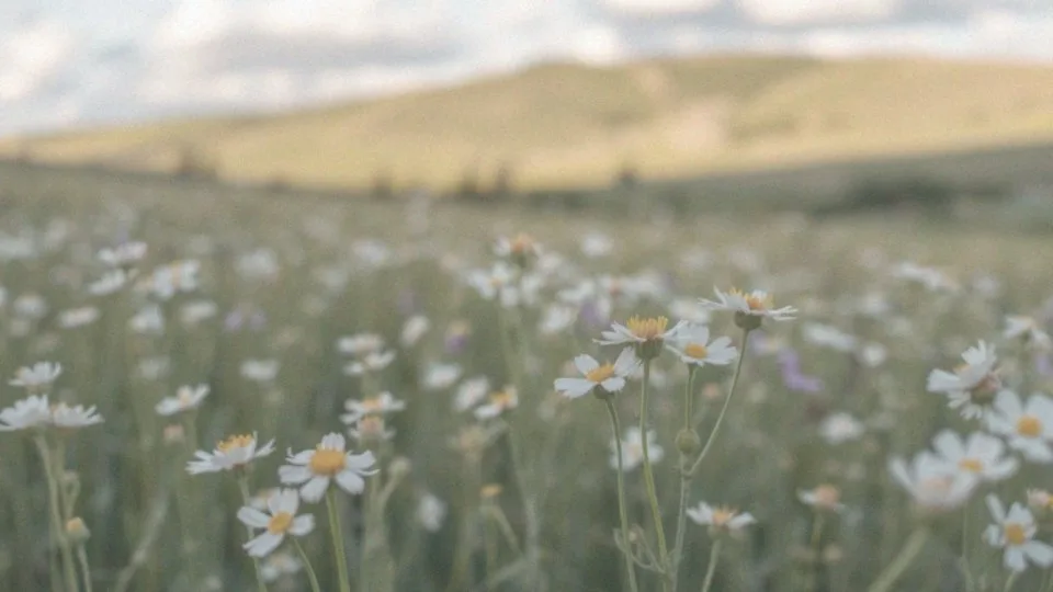 Anna – znaczenie imienia, pochodzenie i duchowe symbole