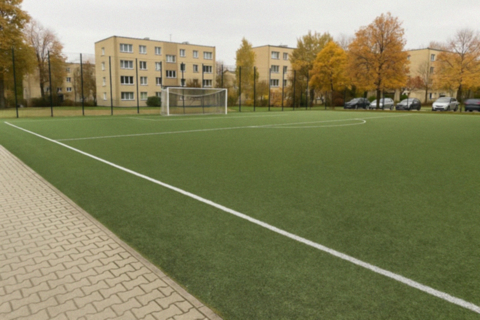 Legnicki Dzień Sportu – Święto Aktywności w Parku Miejskim