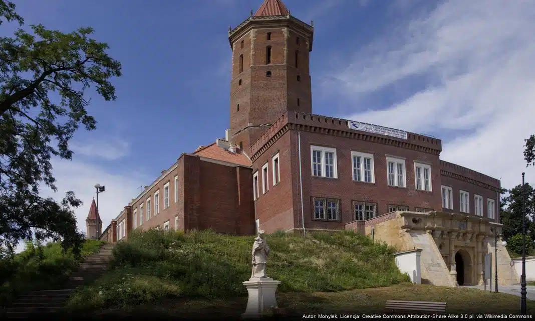 W Legnicy Rusza Akcja Wydawania Karmy dla Kotów Wolno Żyjących